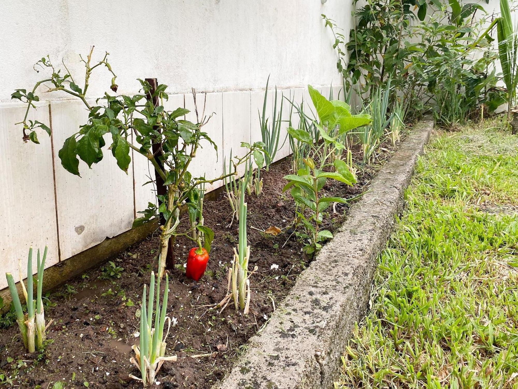 Residencial Verdes Mares Bombinhas Zewnętrze zdjęcie